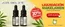 Catálogo Farmacia Mapuche | Hasta 20% descuento! | 2026-06-08T00:00:00.000Z - 2026-06-22T00:00:00.000Z