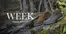 Catálogo RKF Outdoor | Hasta 40% Off! | 2026-07-27T00:00:00.000Z - 2026-08-10T00:00:00.000Z