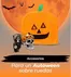Catálogo Autoplanet | Ofertas y gangas exclusivas | 2026-10-16T00:00:00.000Z - 2026-10-30T00:00:00.000Z