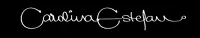 Logo Carolina Estefan