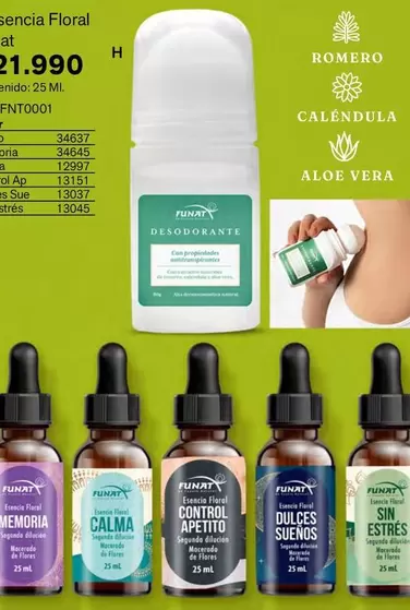 Romero - Esencia Floral