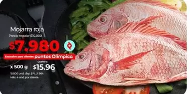 Exclusive - Mojarra roja