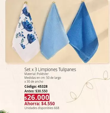 Set x 3 Limpiones Tulipanes