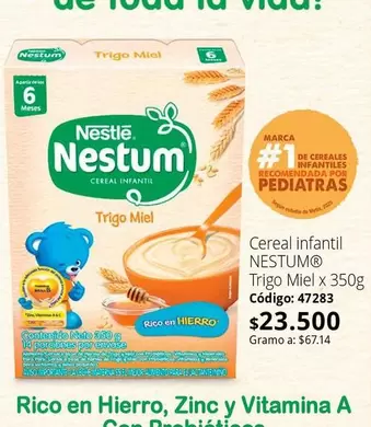 Nestum - Cereal infantil
