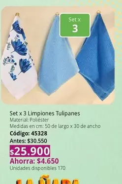 Set x 3 Limpiones Tulipanes