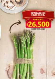 ESPÁRRAGOS EN BOLSA X 500 G.