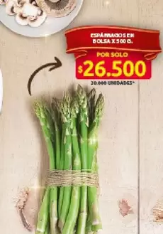 ESPÁRRAGOS EN BOLSA X 500 G.