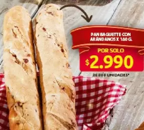 PAN BAGUETTE CON ARANDANOS