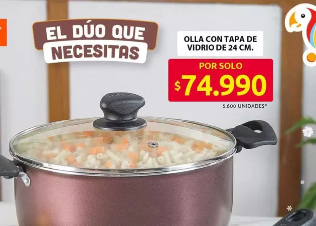 OLLA CON TAPA DE VIDRIO DE 24 CM.