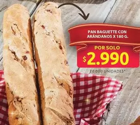 PAN BAGUETTE CON ARÁNDANOS