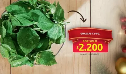 GUASCAS X 50 G.