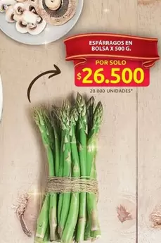ESPÁRRAGOS EN BOLSA X 500 G.