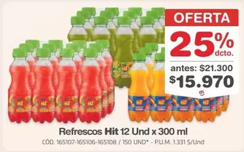 Hit - 12 Und x 300 ml