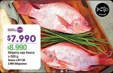 Mojarra Roja Fresca