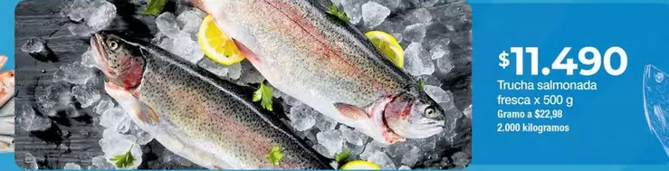 Trucha Salmonada Fresca