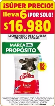 Cuesta - LECHE ENTERA