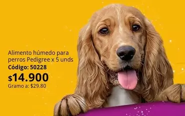 Pedigree - perros  x 5 unds