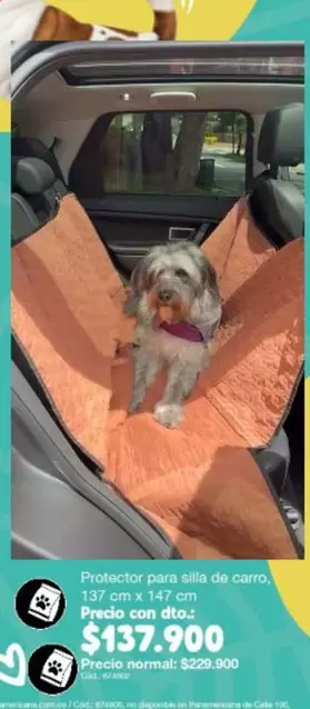 no - Protector pera sila de carro