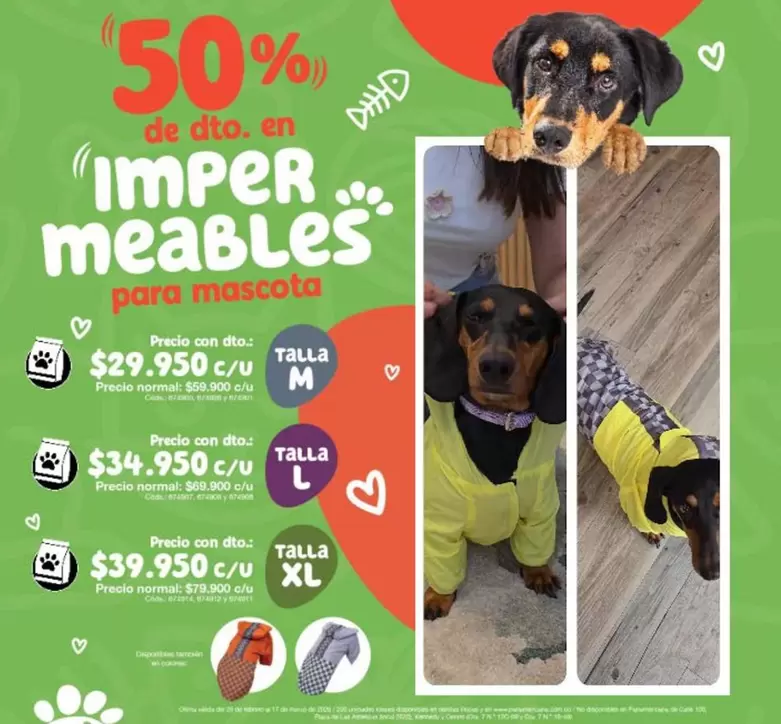 tall - IMPERMEABLES para mascota