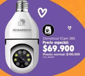especial - ICam 365