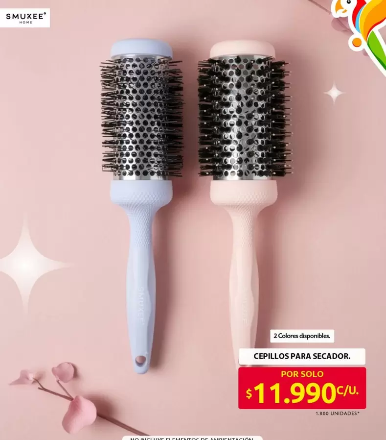 CEPILLOS PARA SECADOR.