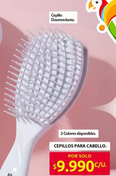 CEPILLOS PARA CABELLO.