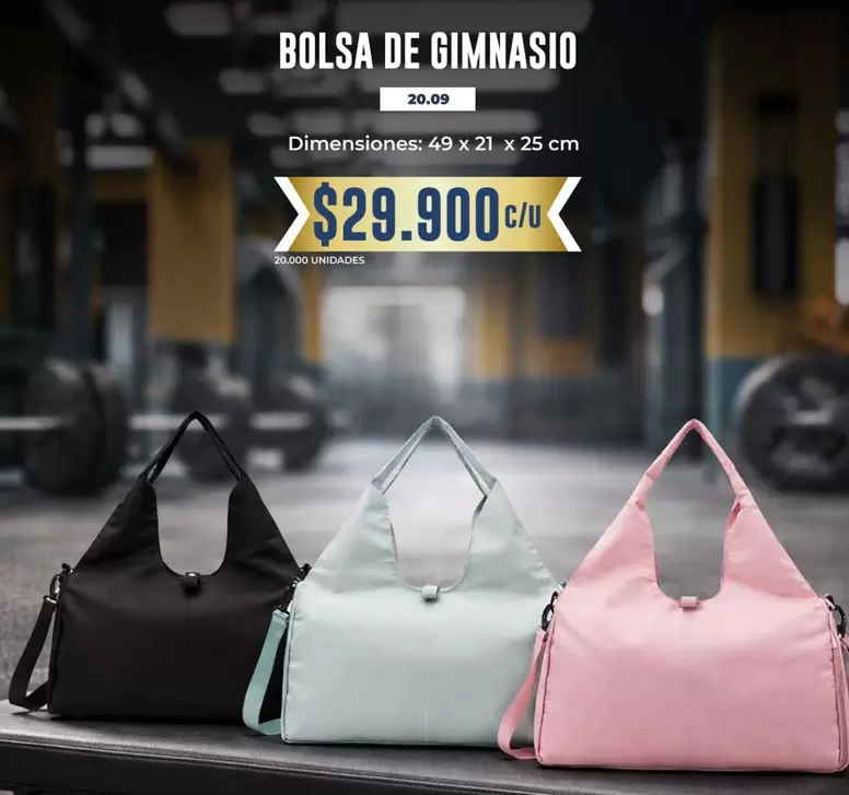 BOLSA DE GIMNASIO