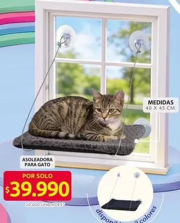 Asoleadora para gato