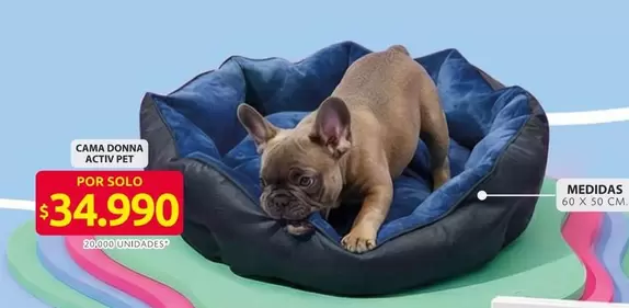 CAMA DONNA ACTIV PET