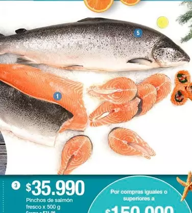 Pinchos de salmón fresco