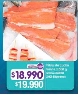 Filete de trucha fresca