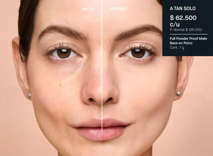 Full Powder Proof Matte Base en Polvo