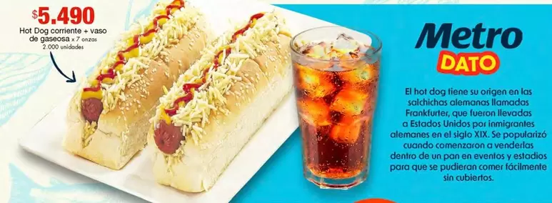 Metro - Hot Dog + Gaseosa