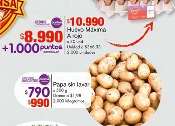 Mas - Huevo Máxima A rojo