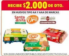 Santa Anita - Huevos Tipo AA y AAA