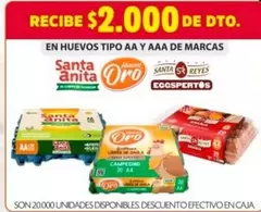 Santa Anita - Huevos Tipo AA y AAA