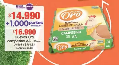 Oro - Huevos campesinos AA