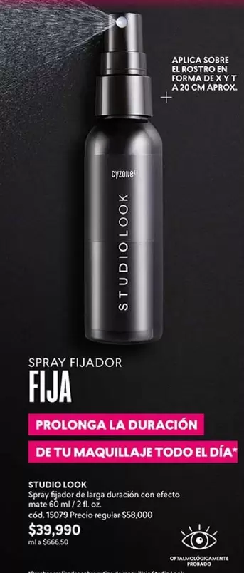 SPRAY FIJADOR