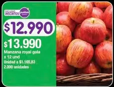 Manzana royal gala