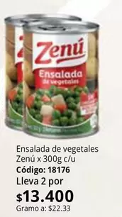 Zenú - Ensalada de vegetales