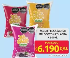Colanta - YAGUR