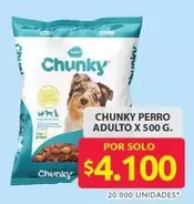 Chunky - PERRO ADULTO