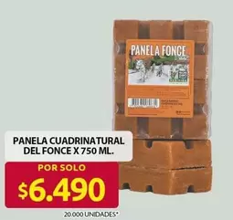 Fonce - PANELA CUADRINATURAL