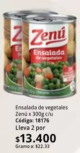 Zenú - Ensalada de vegetales