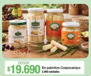 Corpocampo - En Palmitos