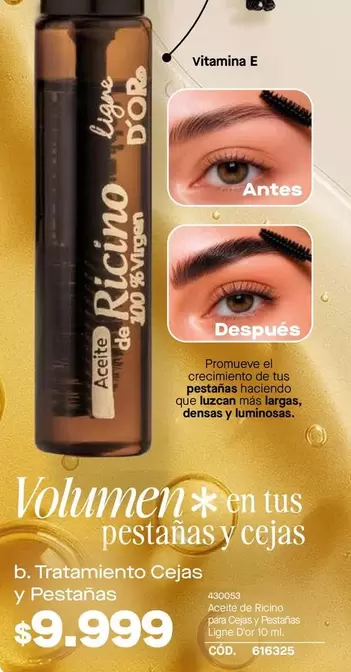 Ligne d'or - Aceite de Ricino 100% Virgen