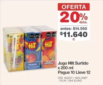 Hit - Jugo Surtido