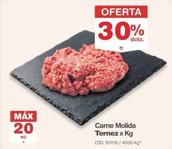 Ternez - Carne Molida x Kg
