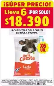Cuesta - Leche Entera