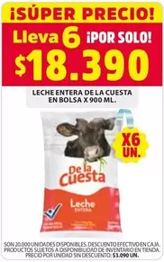 Cuesta - Leche Entera